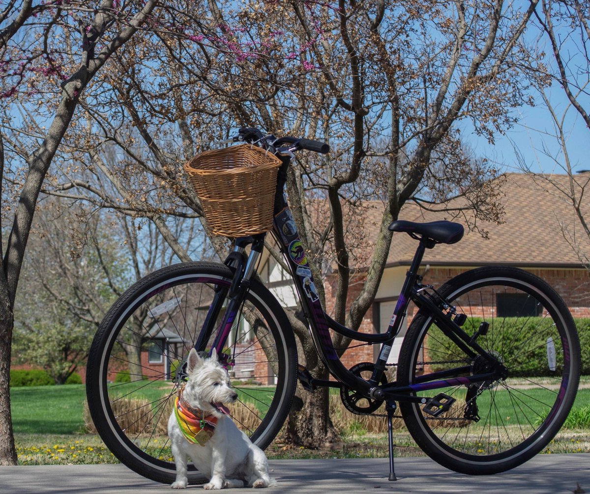BCCHS_Eagles's tweet photo. Gather ‘round to hear some Six Word Stories from Photojournalism students:
“Quarantine friends: my bike and dog.” Claire Light
“Spring is here, enjoy the outdoors.” Victoria Chacon
#FlyerThursday #6WordStoryKS #EaglesICT https://t.co/Nn6iLGWRj0