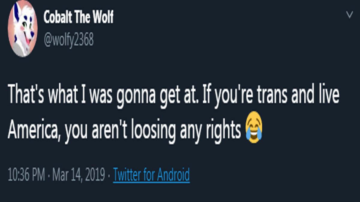 I'd advise furries in the community avoid the user @/wolfy2368 If you wonder why, here's a variety of bits and pieces of evidence showing why they're harmful to people