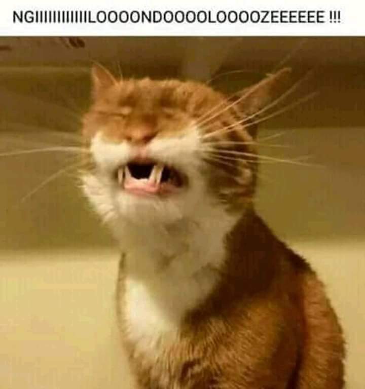 KayPrinceSA1's tweet photo. Andiyifuni iBidet 😂😂😂😂😂😂🏃🏃🏃💔💔💔🚮
#90DaysFianceBeforeThe90Days https://t.co/hp9RvoQ7wz