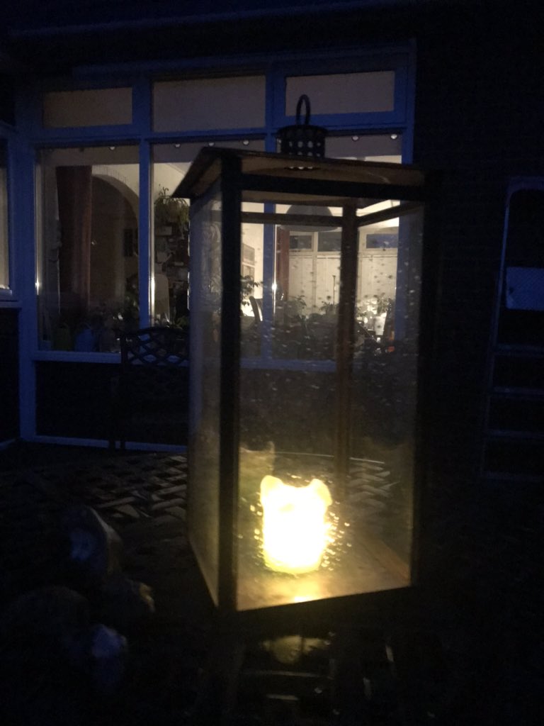 LilaKusintje's tweet photo. Meierblis in eigentuin #meierblis #meierblis2020 #COVID__19 #tocheenmeierblis #eigentuin #texel #houvol #washanden #houafstand #weesluefvoorelkaar #stuurkaarten #belgrootouders #volgendjaar? #wieweet https://t.co/S3fegY0n2G