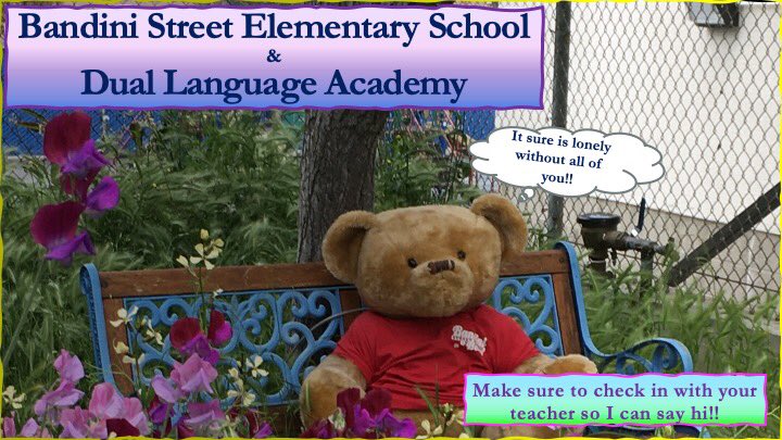 Bandini Street Elementary School tweet media