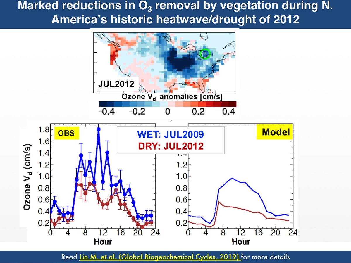 Meiyun_Lin's tweet photo. @_nadineunger @EmbersonL Thank you! While our study focused on Europe, the findings have broad implications. Substantial reductions in ozone removal by vegetation also occurred during North America's historic heat wave and drought of 2012. Read more: https://t.co/b0pdHYAOE7 https://t.co/xVfZYhfQju