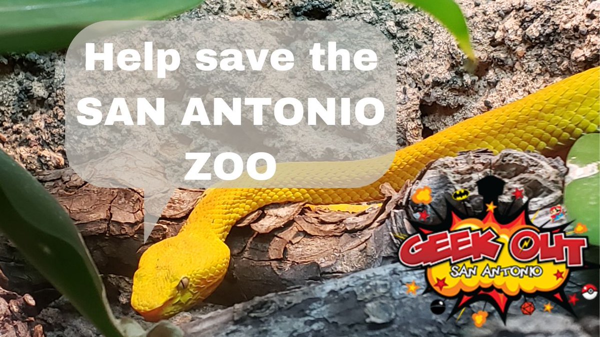 GOSA_Cast's tweet photo. We've loved our whole live in San Antonio and we love the @SanAntonioZoo so help them out and check out our video #thursdayvibes #ThrowbackThursday 
https://t.co/YEXPfeccc3 https://t.co/MfFlo0TP21