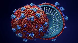britneysim99's tweet photo. The Virginia Department of Health reported Thursday that 90,843 people have been tested for COVID-19 in Virginia. #303MIR https://t.co/wAJDhBkqu0