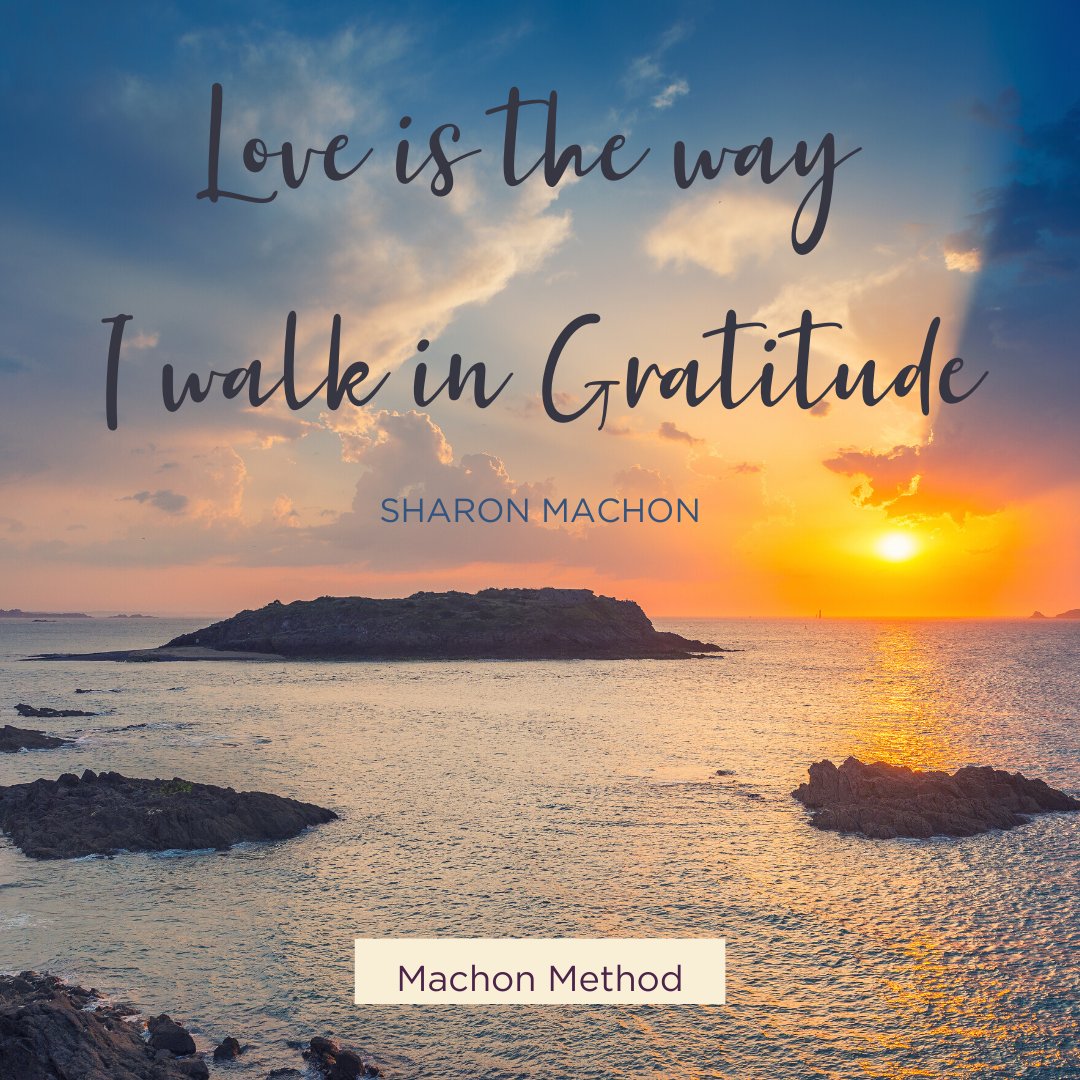 MachonMethod's tweet photo. Gratitude goes hand in hand with love, and where one is the other must be found. For gratitude is but an aspect of the Love which is the Source of all creation. #mindfullife #machonmethod #waynedyer https://t.co/p9ANMqKOLa