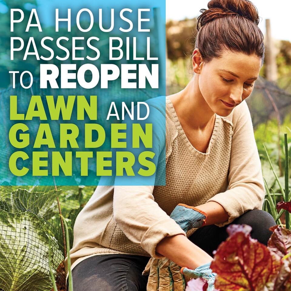 RepSimmons's tweet image. Legislation that would allow lawn and garden centers to open was just passed by the House.  I voted yes. 

House Bill 2429 now moves to the Senate for their consideration. If Lowe’s and Home Depot can be open, there is zero reason our family-owned garden centers cannot be open.