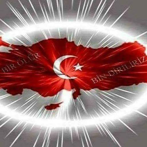 ilhami3344's tweet photo. @mkulunk Her Türk zafer yazdırır 
Vatan davasına sahip çıkan yiğitlere selam olsun https://t.co/nzJjDWRTBs