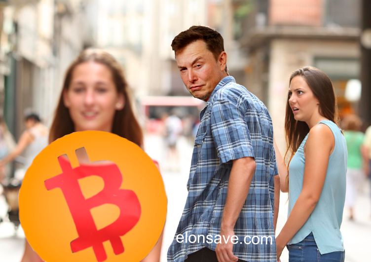 rickyramage's tweet photo. @elonmusk https://t.co/Oe6aKuLJTW