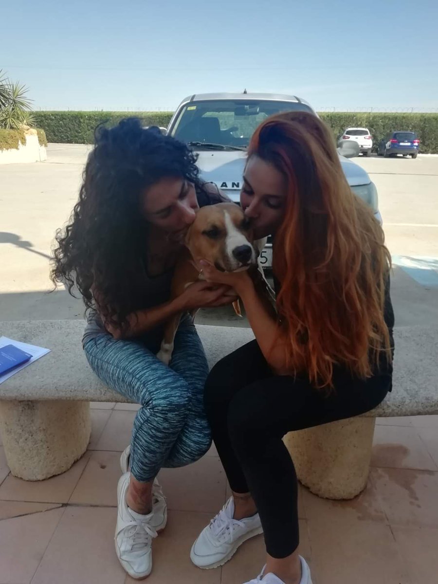 Procuas Sevilla tweet media