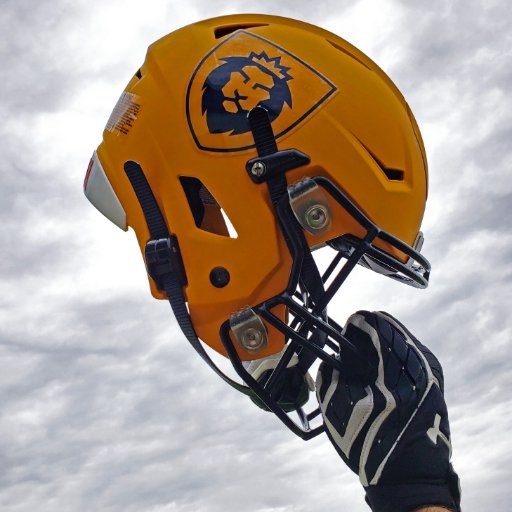 I had a great talk with <a href="/coach_pi/">Michael Piasecki</a> today about Warner Football and what they can offer!