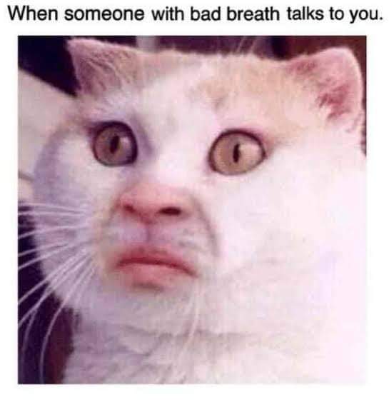 Prominent_Keys's tweet image. 