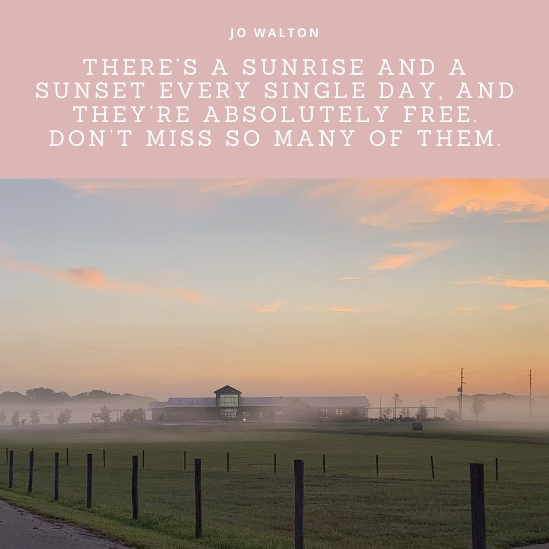 Long Acres Ranch tweet media