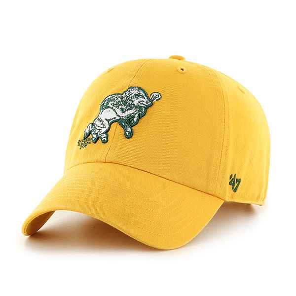 NDSU OFFICIAL GEAR tweet media