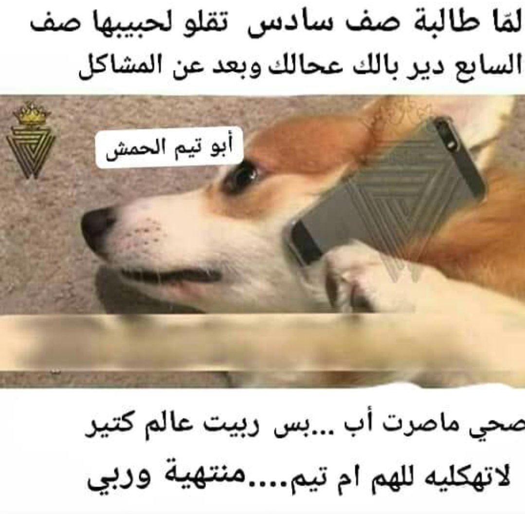 dose_new's tweet photo. #NewDose
#نيودوس
🤣🤣🤣 https://t.co/TTru9kmeDS