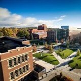 dakota mannel tweet media