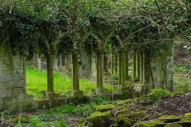 Newminster Abbey, Cistercian, daughter of Fountains, mother of Roche, Sawley and Pipewell. Near Morpeth in Wansbeck Valley, but I've honestly never come across it! Not sure if it's accessible, looks a bit of a state. Chapter house portal. Re-erected cloister arcade exceptional!