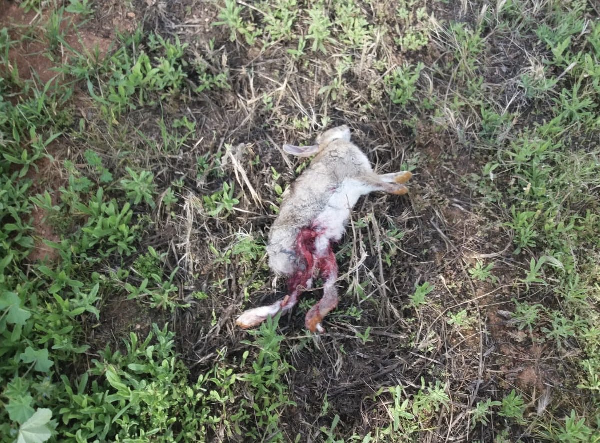 Toc toc toc <a href="/PSOE/">PSOE</a> <a href="/populares/">life</a> <a href="/PODEMOS/">Podemos</a> <a href="/CiudadanosCs/">Ciudadanos 🇪🇸🇪🇺</a> <a href="/vox_es/">VOX 🇪🇸</a> @iunida todos los años igual...
Queremos una Política Agraria Común que garantice un nivel de vida equitativo a los agricultores, y  también respete el ecosistema 🦔🌿🦡🌳🐰🌹🦆🌱
UN POQUITO MÁS ALTAS LAS CUCHILLAS🔪🚜