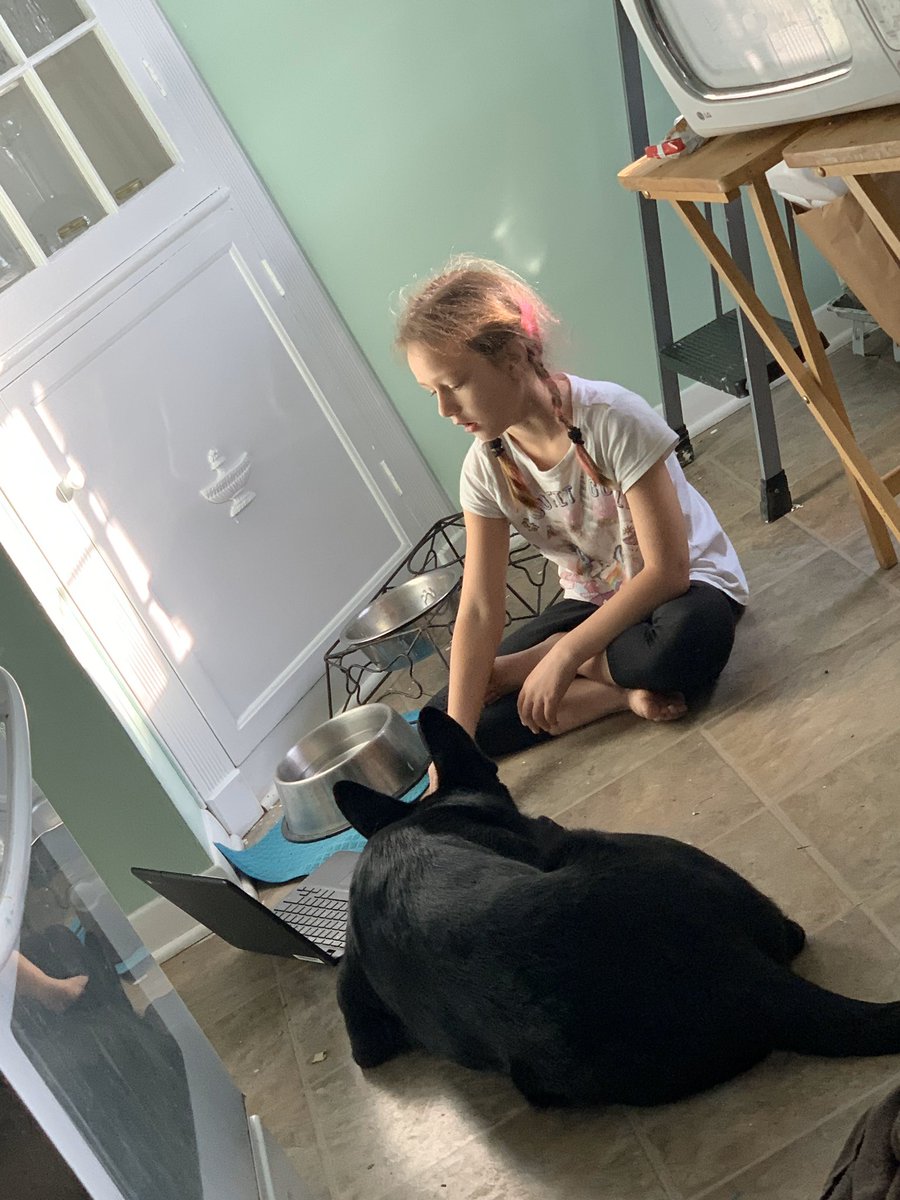 PicconeDanielle's tweet image. Love seeing my 2nd graders working hard at home with some furry new classmates! 🤗🐶🐱📚✏️  @WestRidgeGreece @GreeceCentral @ShannonCHeller