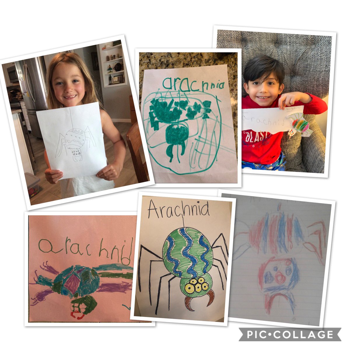 Benteen 4th (@benteen4th) on Twitter photo Today’s word of the day: Arachnid 🕷 🕸😧🤭 <a href="/BKinderDLI/">Benteen’s Kindergarten DLI</a> <a href="/AKhan_EdS/">Aiesha Khan</a> @SoontobeEdD <a href="/docdrewlovett/">Andrew Lovett Jr., Ph. D.</a> Today’s word of the day: Arachnid 🕷 🕸😧🤭 <a href="/BKinderDLI/">Benteen’s Kindergarten DLI</a> <a href="/AKhan_EdS/">Aiesha Khan</a> @SoontobeEdD <a href="/docdrewlovett/">Andrew Lovett Jr., Ph. D.</a>