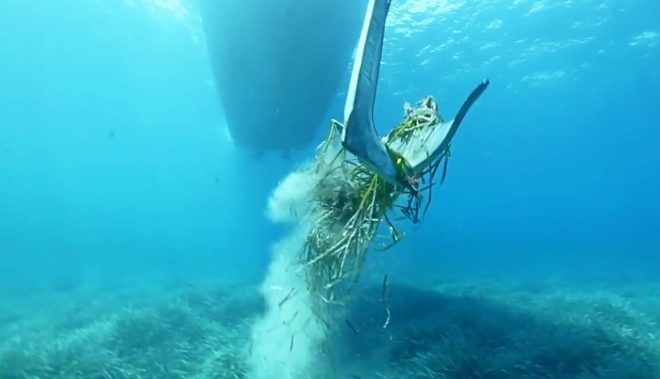 — La presencia de algas invasoras, que se reproducen velozmente y tapizan la superficie del agua (de nuevo, no permiten el paso de luz al fondo)— La pesca de arrastre y el fondeo de embarcaciones, que con sus anclas dejan a su paso un sendero de plantas arrancadas.