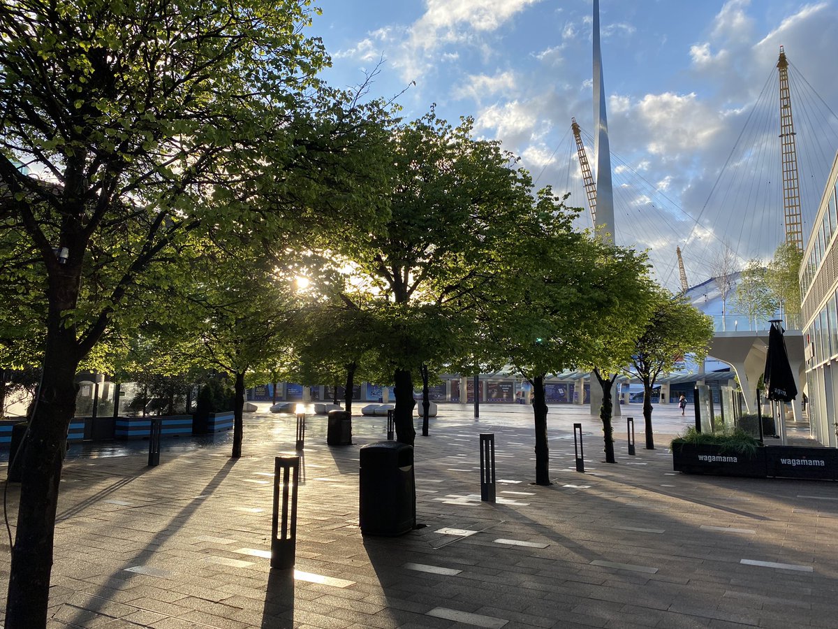 Trent Mclaren tweet media