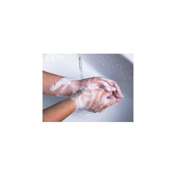 PBsecurite's tweet photo. Crème Lavante Parfum Fleur De Lin, 5 L
Référence: HYG10007

Crème Lavante Naturelle, Pour Un Lavage Fréquent Et Délicat Des Mains.

en vente sur notre site:
https://t.co/iqvvT2HRww

#COVID__19 #coronavirus #securite #protection #gelhydroalcoolique #savon #lavage https://t.co/Szma27l2dM