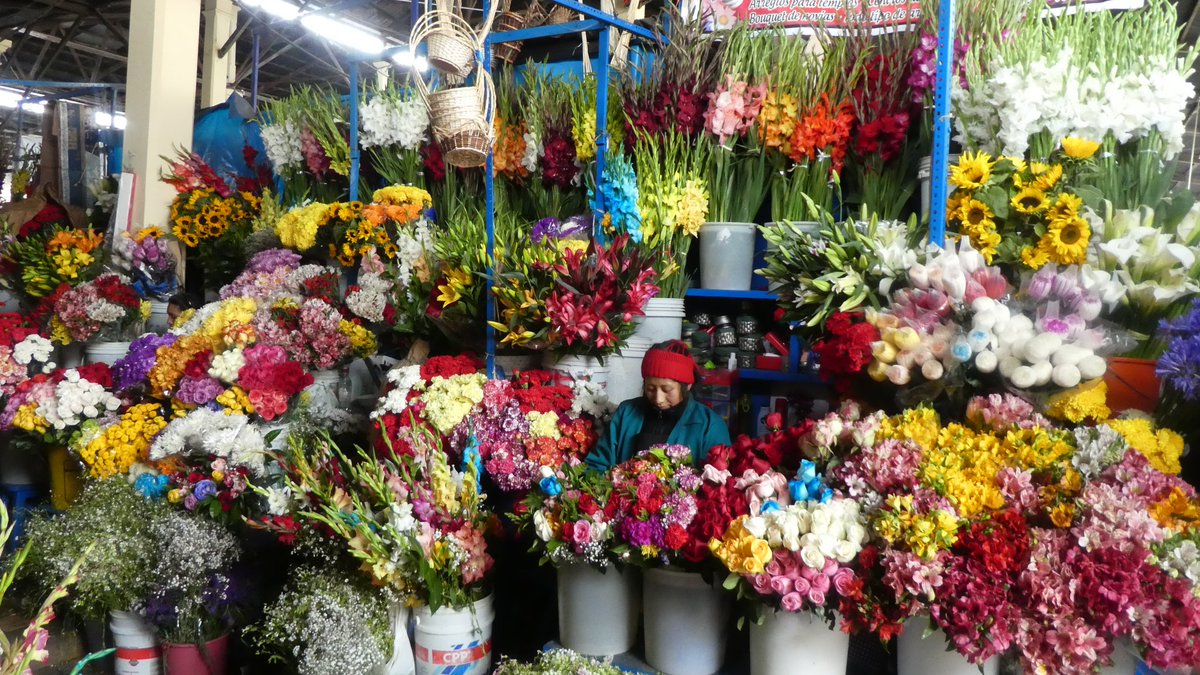 cooper_kerry's tweet photo. #virtualPeru - day 19 (again) sorry, yesterday was day 18, the trouble with trying to tweet whilst offline! So, s full day back in #cusco, I felt a bit braver this time and visited the locals market... https://t.co/aTlpYki6oc