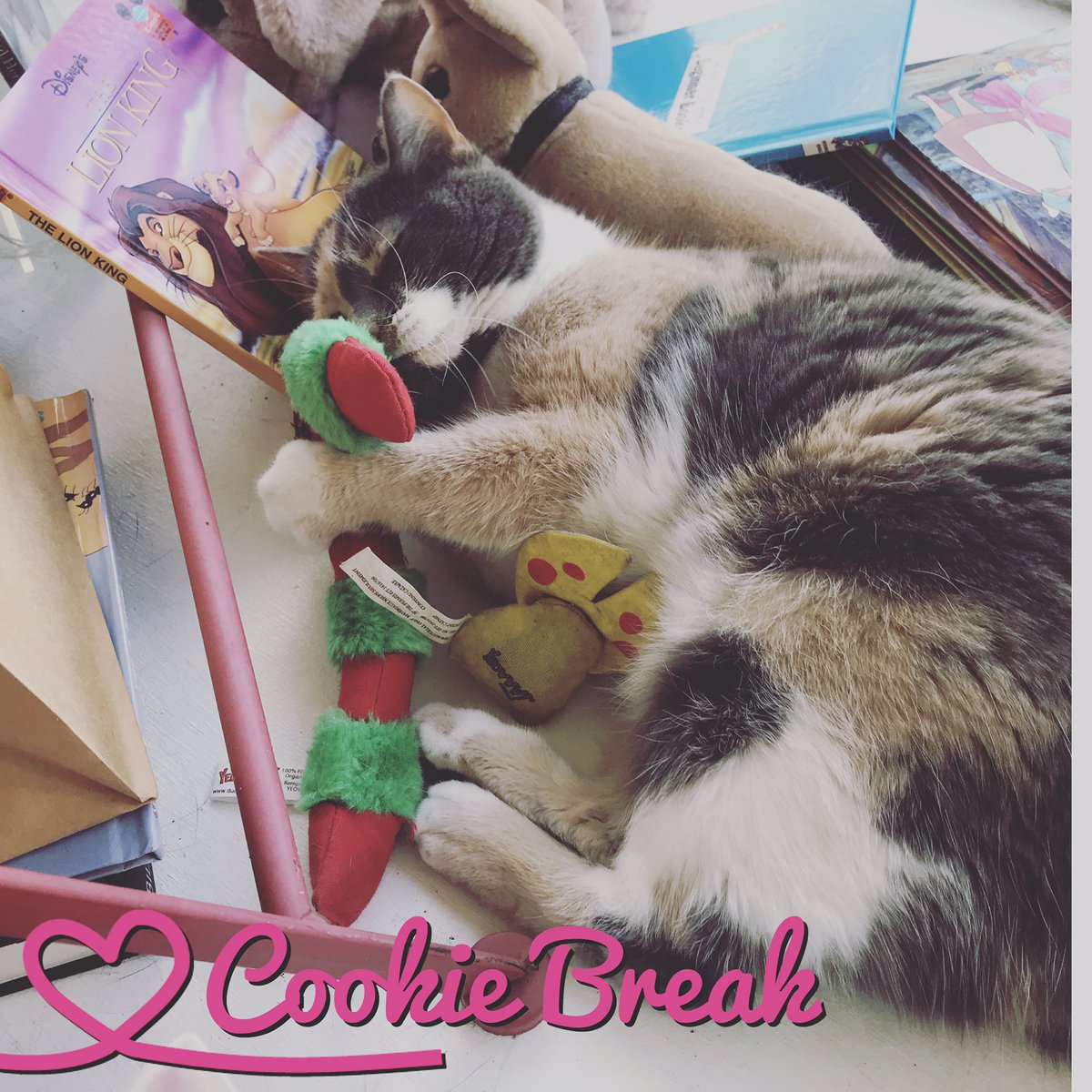 thedoggiebag's tweet image. It’s time for a Catnip Break! Cookie loves her @yeowwwcatnip toys from The Doggie Bag!😻
#thedoggiebag #yeowwwcatnip #curbsidepickup #curbsidecatnip #cookietheshopcat #calicocat #lovelakeland #lakelandflorida