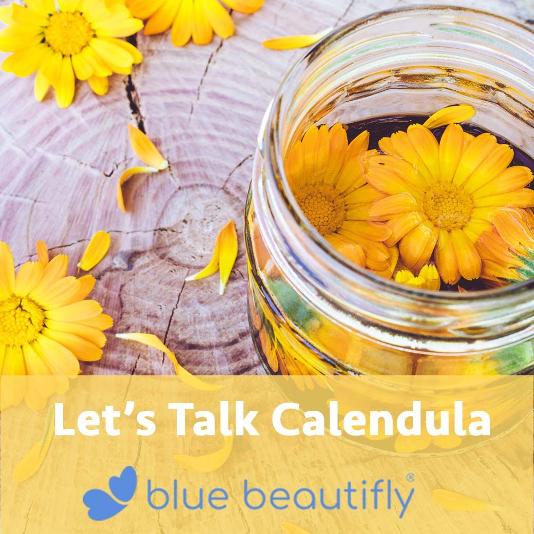 bluebeautifly's tweet image. Calendula, also referred to as marigold, is an annual plant from the daisy family.  

Calendula extract improves the overall quality and health of the skin. It is mostly known for its soothing and anti-inflammatory properties.   
#Calendula #CalendulaOil #CalendulaExtract #spa