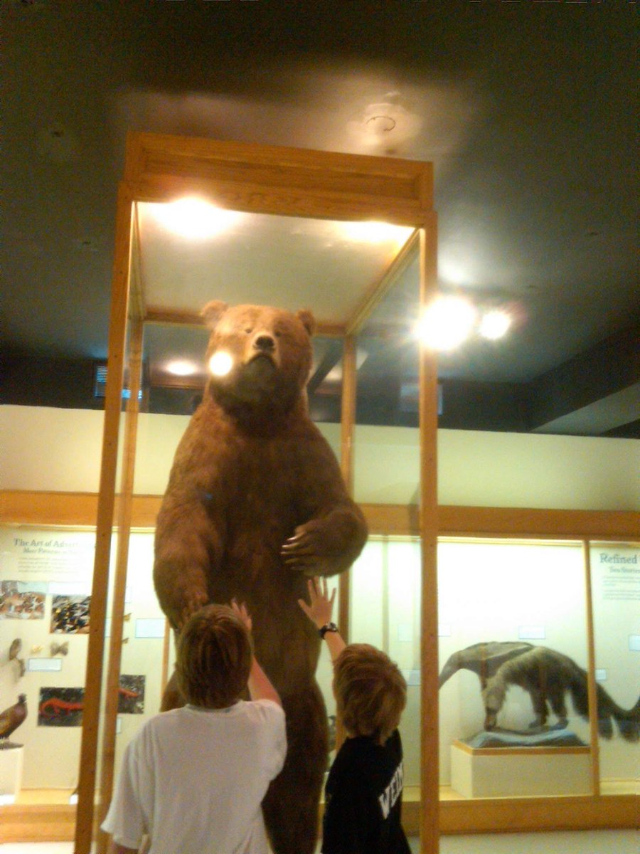 <a href="/MSUMuseum/">MSU Museum</a> <a href="/michiganstateu/">MSU</a> <a href="/CALMSU/">MSU College of Arts & Letters</a> <a href="/cantus94/">Max Evjen</a> <a href="/GreaterLansing/">Choose Lansing</a> @MSU_NatSci <a href="/JulianChambliss/">Julian Chambliss</a> <a href="/MSUMuseumBear/">William B. Bearows</a> @MSU_UOE @DeWittBiology <a href="/LaurenWeber84/">Mrs. Weber</a>