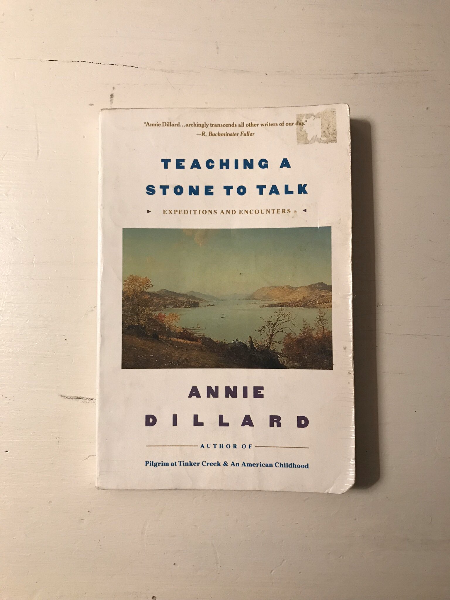 \"One turns at last even from glory itself with a sigh of relief.\"

Happy Birthday Annie Dillard 
