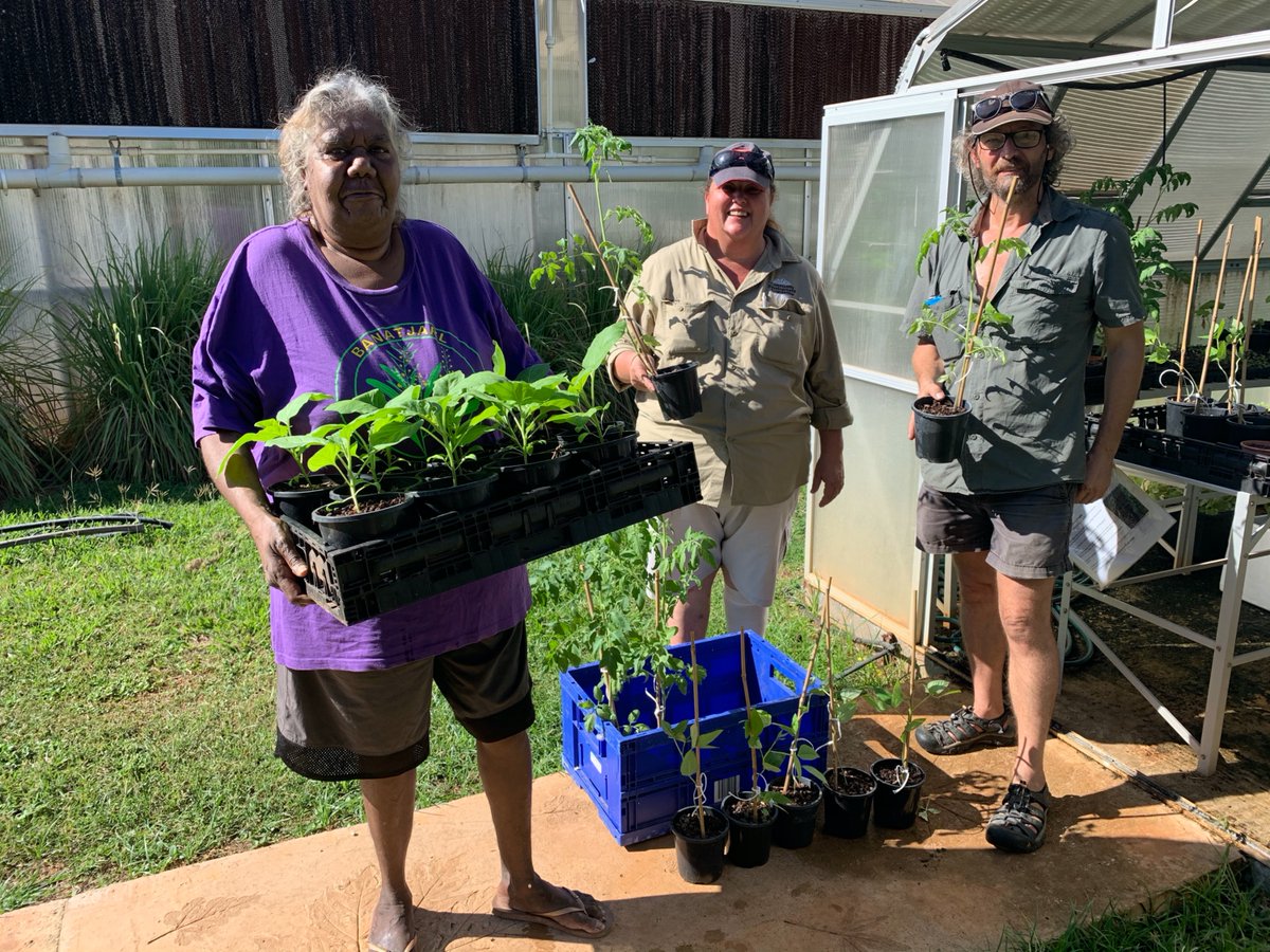 Food Ladder tweet media
