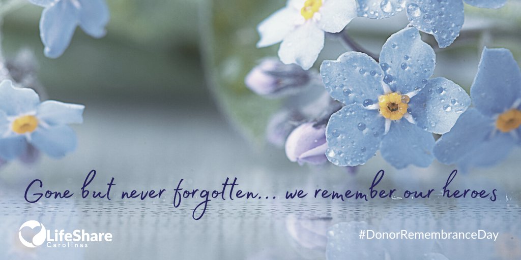 Today we observe #DonorRemembranceDay in honor of those who gave the gift of life through organ, eye, and tissue donation.Thanks to all those who shared dedications in the Donor Hero Remembrance Garden aopo.org/donor-remembra…