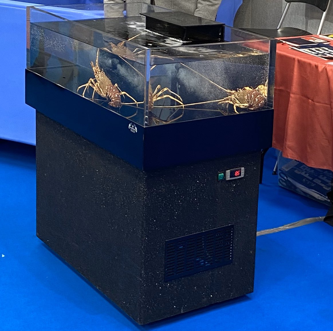 Homarium Uk Ltd tweet media