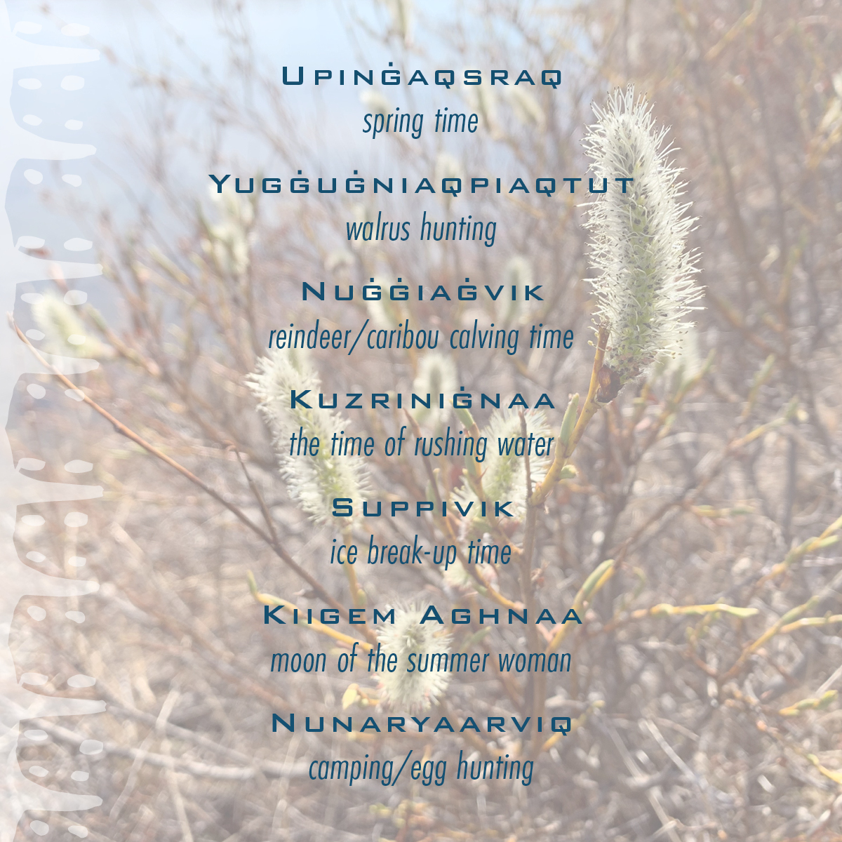 100以上 ƒsƒ ƒn Akan Cz Snak Club Trail Mix