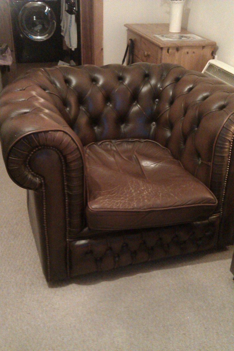 TaniaWren's tweet image. @Shithotish Here she is!! #cuddlechair