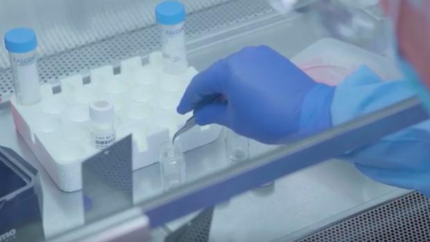 Identifican 69 fármacos que atacan al coronavirus desde diferentes mecanismos
tinyurl.com/yc7cf639