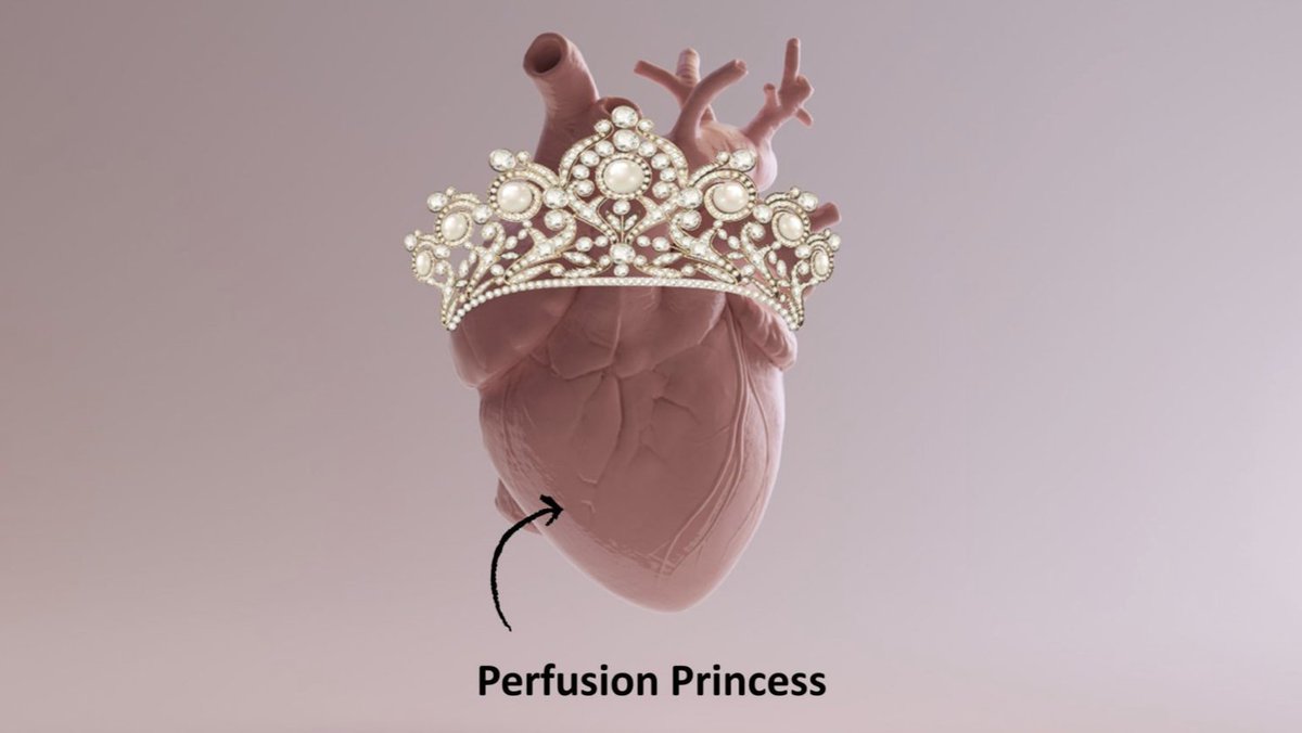 srrezaie's tweet photo. THE BEST LECTURE I HAVE SEEN on RV Failure via @SaraCrager from @emcrit https://t.co/MDhkxQcd1g #FOAMed #FOAMcc https://t.co/9KNFFBihz4