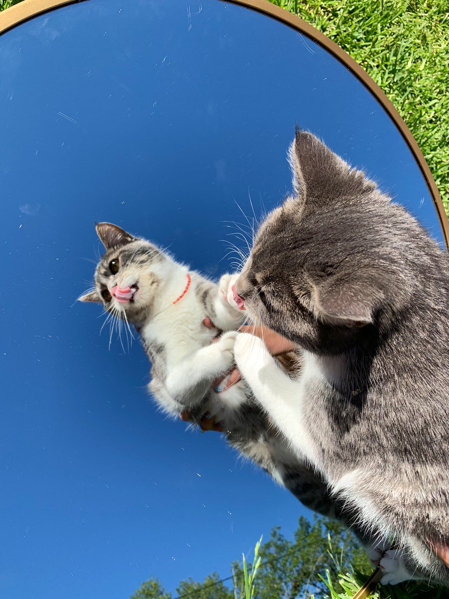 AllikaRoman's tweet photo. she is beauty, she is grace https://t.co/A6lOc8lhKN
