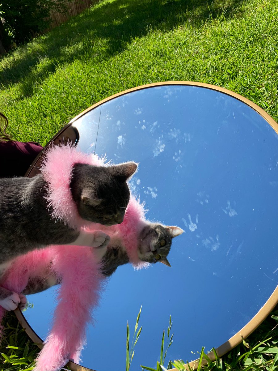 she is beauty, she is grace