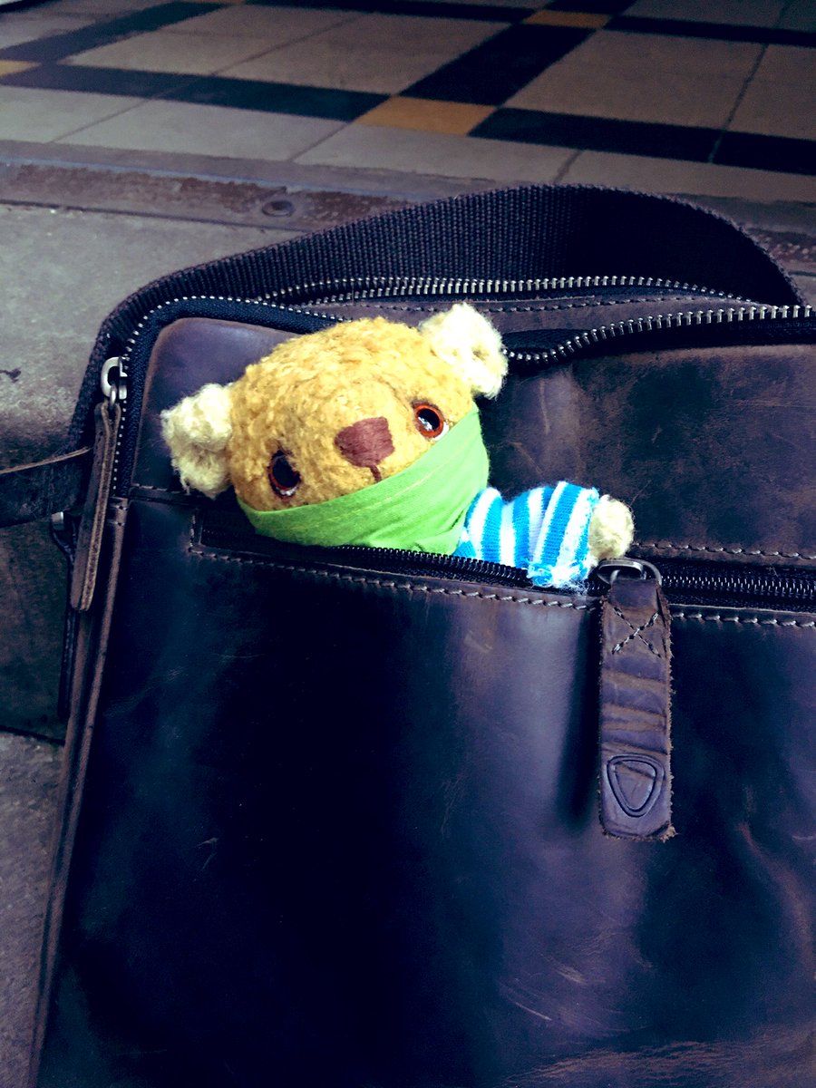 Hello furends! Am I good to go into town dressed like this? #FurryTails #ToddysHug <a href="/TheHugHouse/">🧸🌻 Alfie 🌻 🧸</a> @ArchieFuzzy <a href="/TourGuideTed/">🇺🇦TourGuideTed©🧸🏳️‍🌈🐦🇪🇺</a> <a href="/Deadlysecret007/">Ginger & Romeo,</a> <a href="/PicklesBottom/">PicklesBottom 👑 #BelieveInTzuKingdom #BeKind 👑</a> @ScottynBrownie