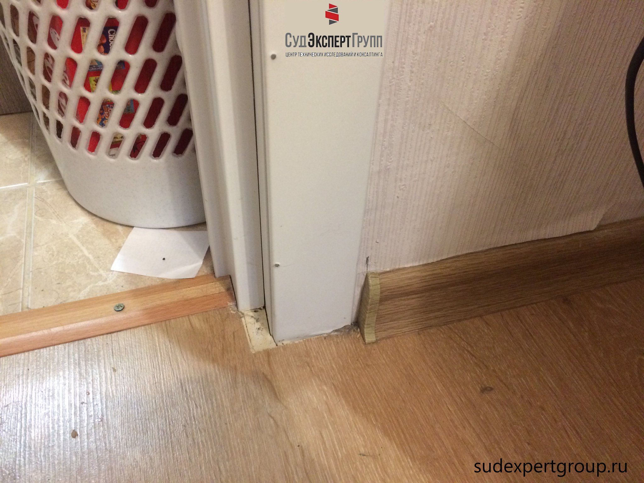 АНО \"СудЭкспертГрупп\" on Twitter: \"Исследования проводились в связи с ...