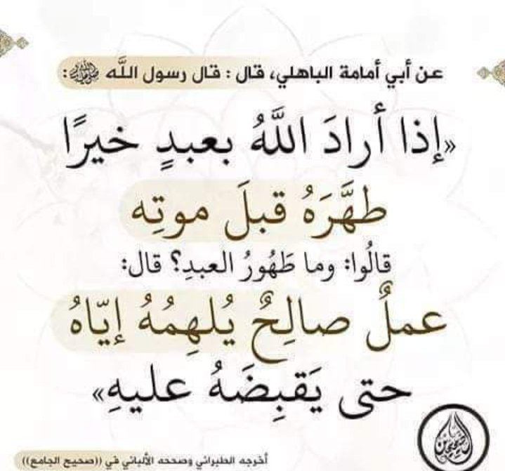Mahmoud828282's tweet photo. https://t.co/krcyAO9bFl