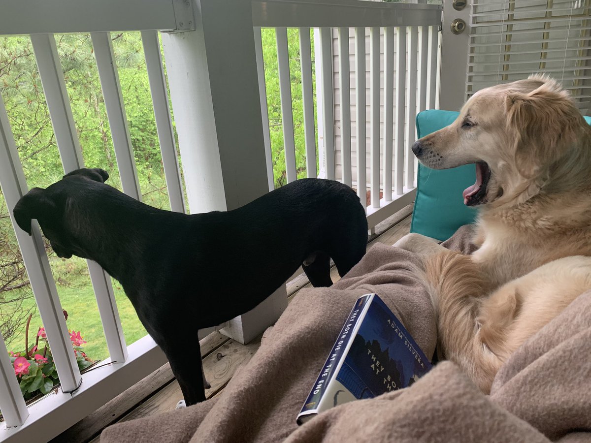 KTJamsHamby's tweet photo. Hey @AdamSilvera we are getting ready to start #theybothdieattheend #readingiscool #stayhomereadabook https://t.co/4rUrSuLbgI
