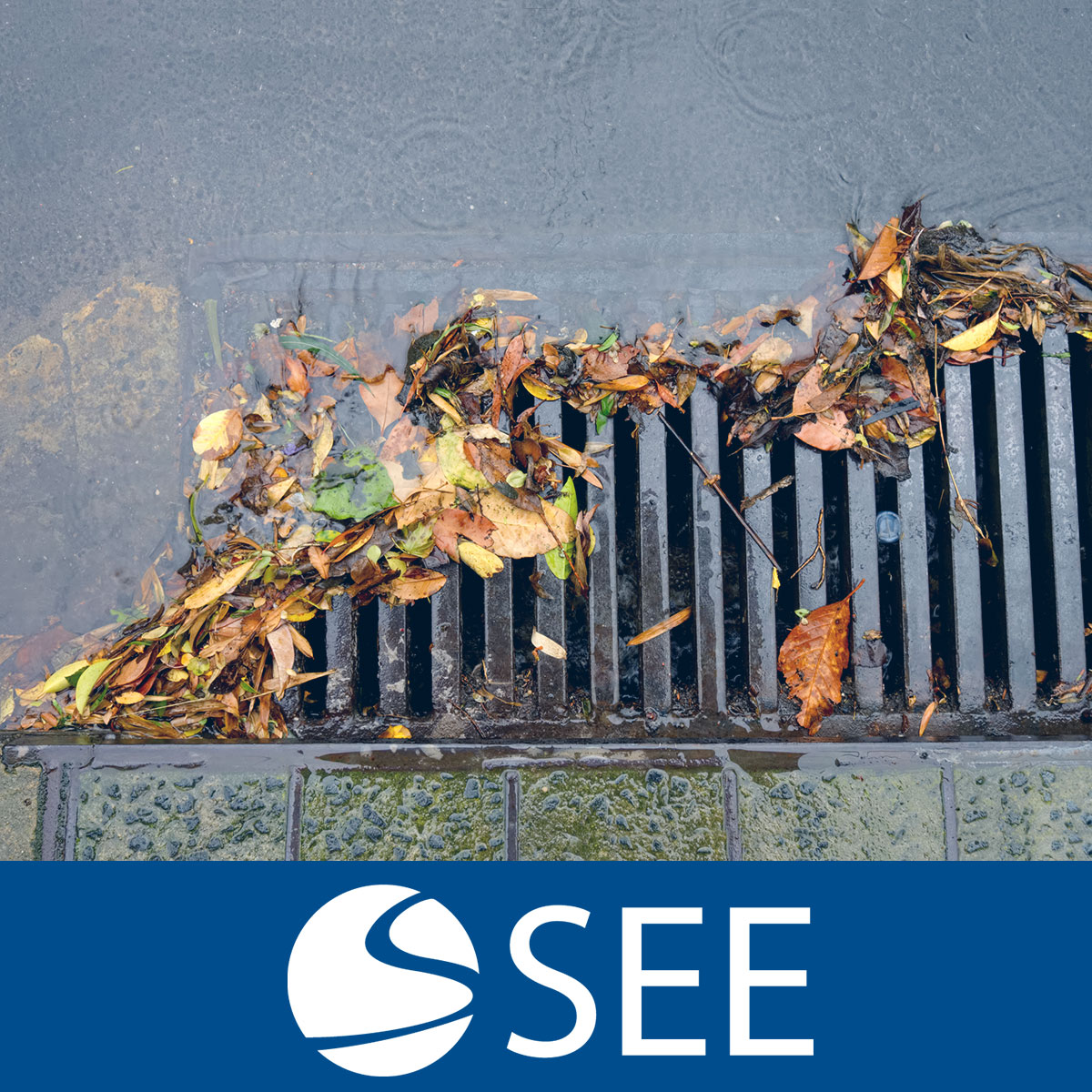 StillwaterEnv's tweet photo. Reminder: only rain goes in the drain. Don't dump anything down storm drains, and be sure to clear away leaves and debris. Any pollutants that enter the storm drains exit into local water bodies— so keep them clean. https://t.co/rFCizw2XFX