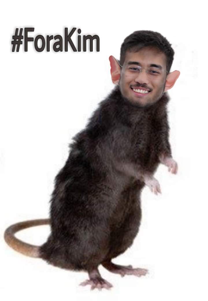 Marcio08893932's tweet image. #DerreteMBL #ForaKim