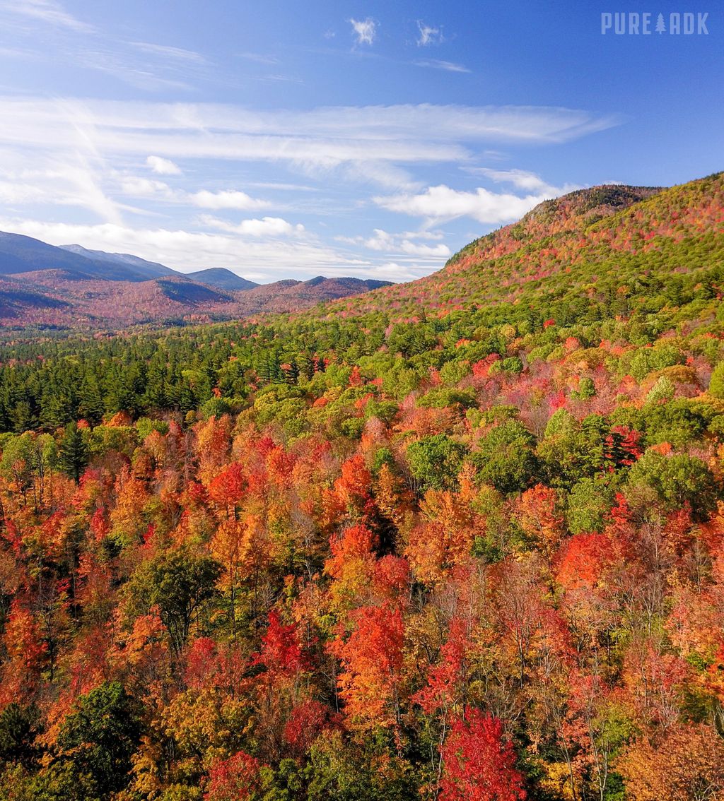 Pure Adirondacks Pureadk Twitter