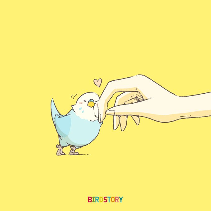 セキセイインコのtwitterイラスト検索結果 古い順