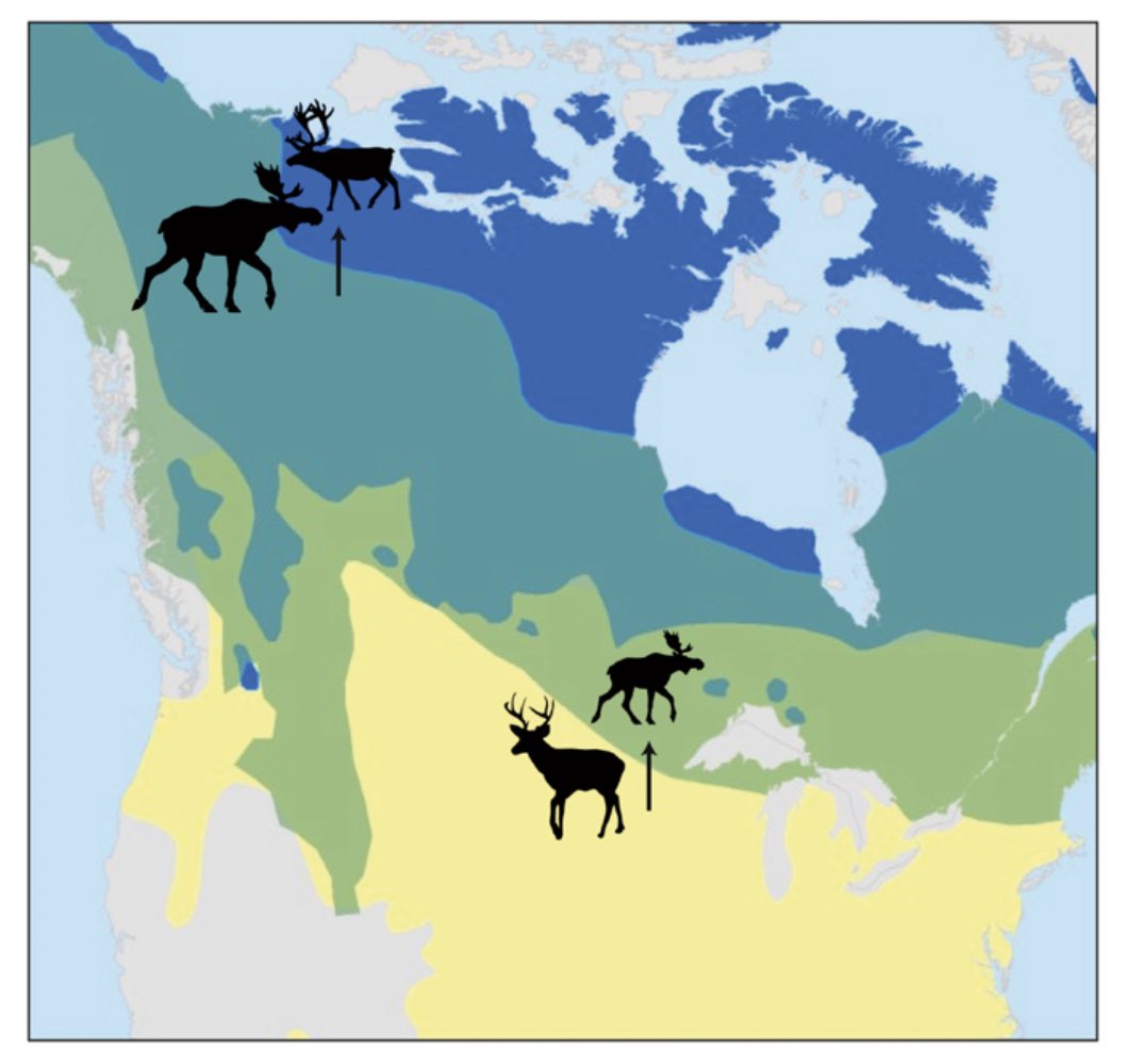 Fantastic new invasion biology review led by @octopiedpiper and <a href="/UCIEEB/">UCI Ecology and Evolutionary Biol</a> Prof <a href="/CascadeJBS/">Cascade Sorte</a> in <a href="/NatureClimate/">NatureClimate</a>! “we have an opportunity to develop plans to facilitate advantageous movements and limit those that are problematic” rdcu.be/b3TaX