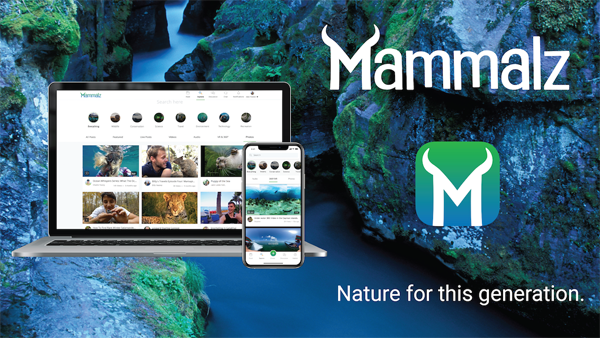 Wildlife_Film's tweet image. Breaking News: @mammalzpbc App is Now Live On the App Store – Download for Free to Enjoy #Nature for this Generation! 💚 #Mammalz 👀 wildlife-film.com/features/Mamma… #WildlifeFilm